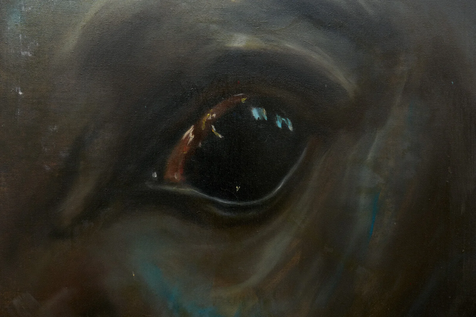 kamva matuis feature image