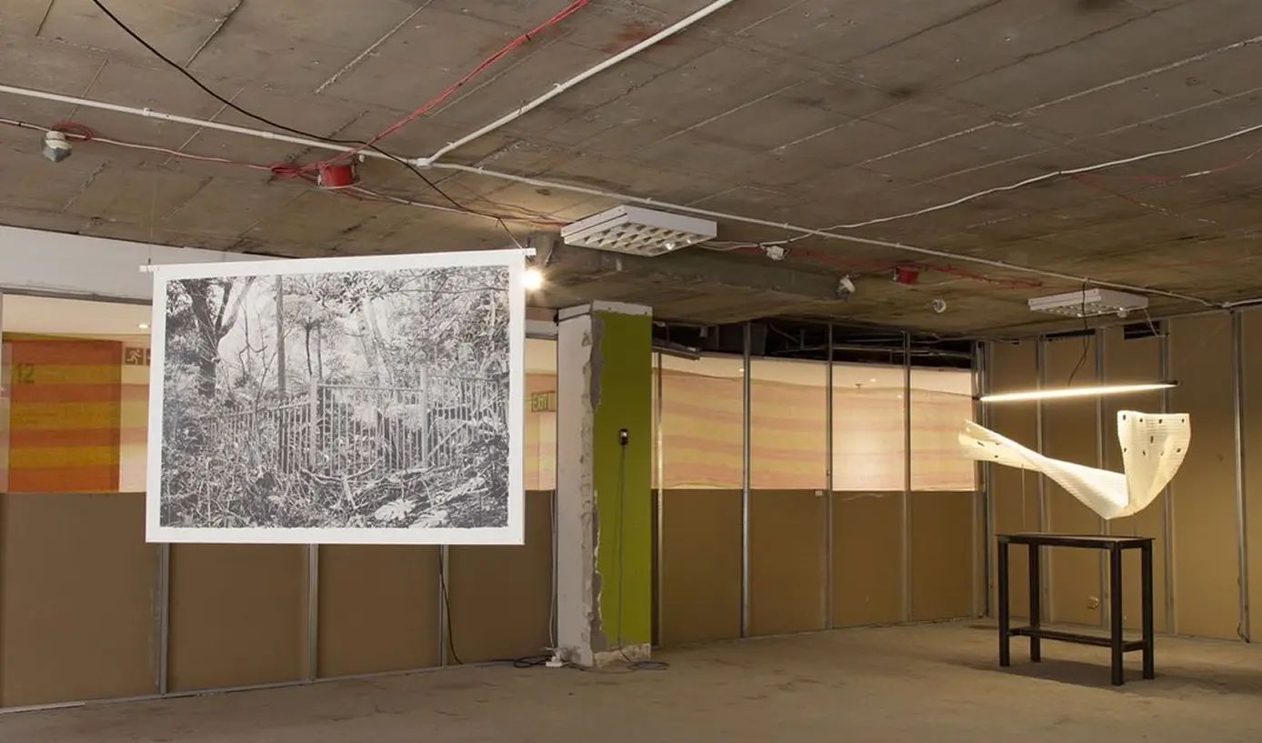 Nathalie Viruly feature image